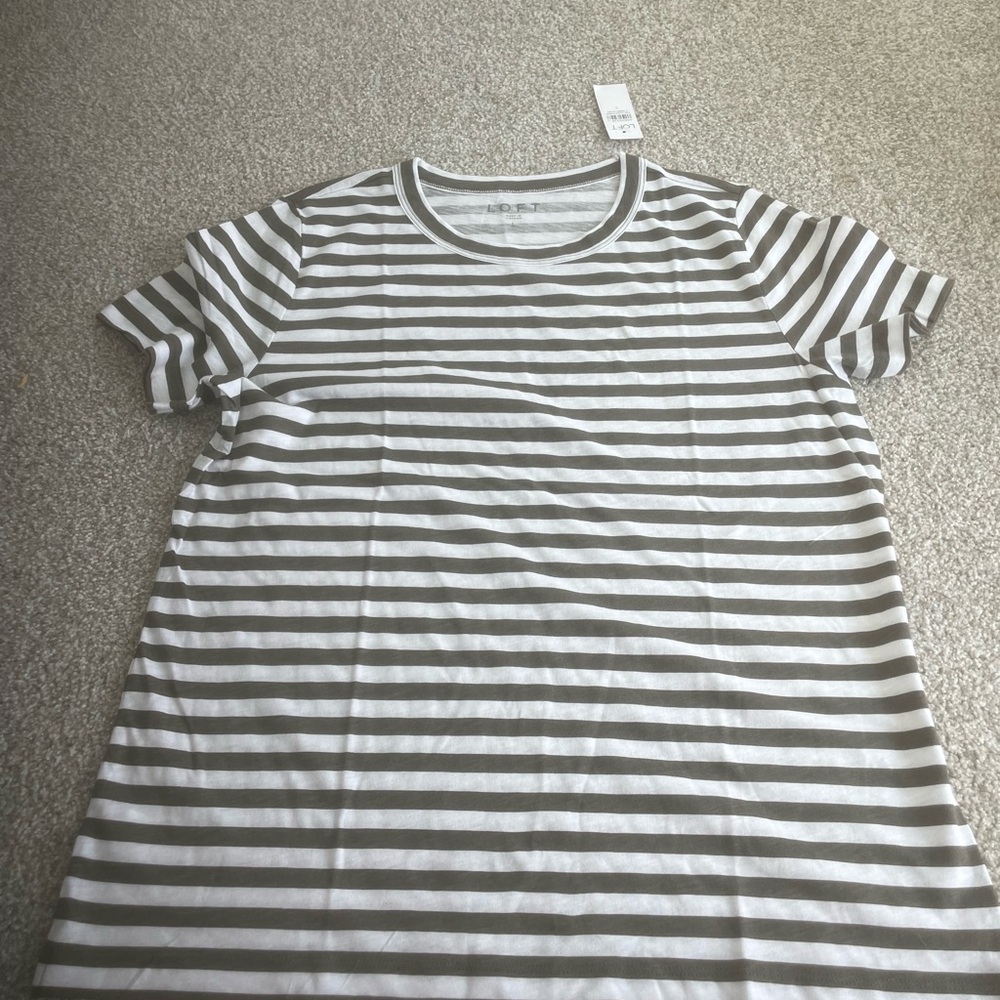 LOFT Short Sleeve Crewneck Tee in White and Olive